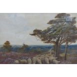 William Langley (1852-1922), watercolour, Landscape with shepherd and sheep, signed and dated, 54 x