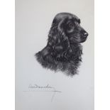 Leon Danchin (1887-1938) lithograph, study of a black spaniel, signed, 55 x 36cm.