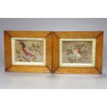 A pair of 19th century petit point panels of birds in maple frames
