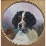 George Earl (fl.1856-1883)Portrait of a spanielOil on wooden panelSignedTondo, 36cm.