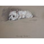 § Lucy Dawson (1875-1954)Timothy (White)PastelSigned21 x 27.5cm.
