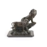 Barry Jackson (SA, 1948-), a bronze group of two lions,standing upon a naturalistic base, signed