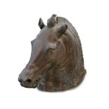 A large and impressive full-size bronze model after the Medici Riccardi horse’s head, 20th century,