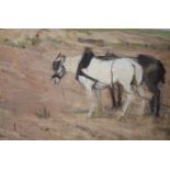 Continental School circa 1900, oil on canvas, Plough horses, 37 x 47cm. Unframed.