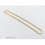 An Edwardian 15ct snake link choker chain, 37cm, 16.5 grams.