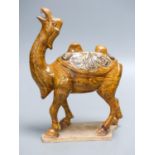 A Chinese Tang style jiaotai glazed pottery figure of a bactrian camel, 24.5 cm high