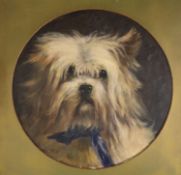 English School, early 20th century, oil on board, Terrier, tondo, 24cm.