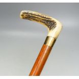 A Victorian 9ct gold mounted cane with antler handle84cm