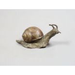 An Austrian cold painted bronze of a snail, 9.5cm