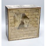 Two taxidermic barn owls within glazed case, 34cm wide