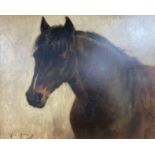 Rob Morley (1857-1941), oil on canvas, portrait of a foal, inscribed ‘to Mr Portass, 1898’, signed,