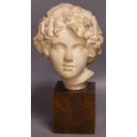 A composition head of a classical youth37cm