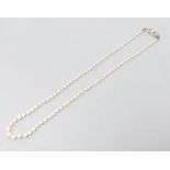 A single strand graduated cultured pearl necklace with yellow metal and gem set clasp, 49cm.