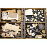 A collection of Edward Gerrard & Sons Taxidermists flora and fauna specimens, in four boxes