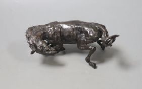 Lucy Kinsella. A bronze horse. height 15cm