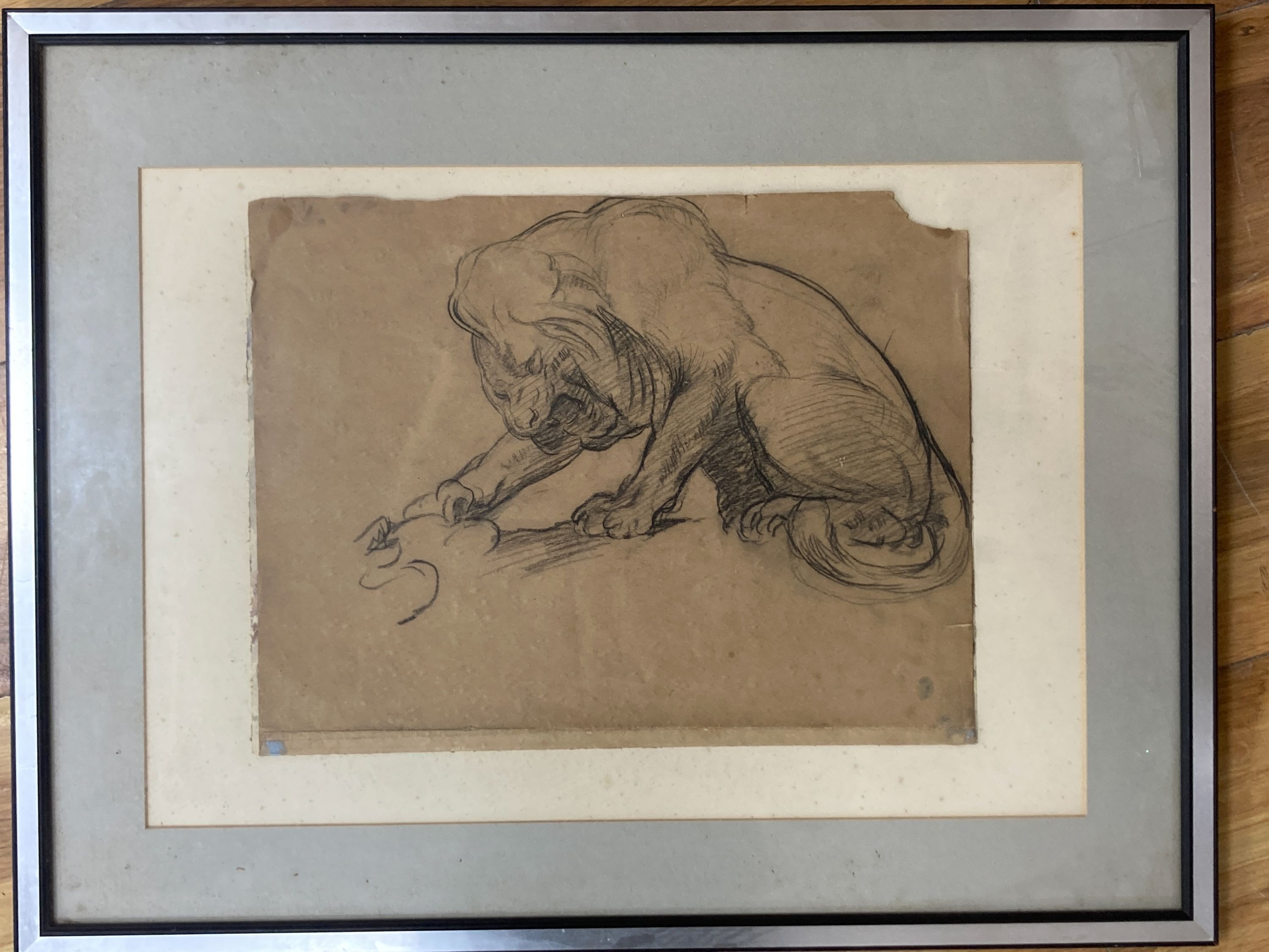 Early 20th century English school, charcoal drawing, Study of a lion, 27 x 35cm. - Image 2 of 3