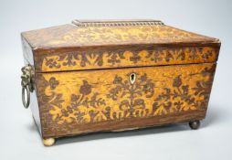 A 19th century rosewood and bird’s eye maple tea caddy, of sarcophagus form, the interior with