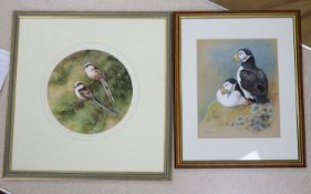 G Kirby (b.1912) gouache, Puffins, signed, 26 x 21cm. And a Neil Cox (1955-), watercolour of long-