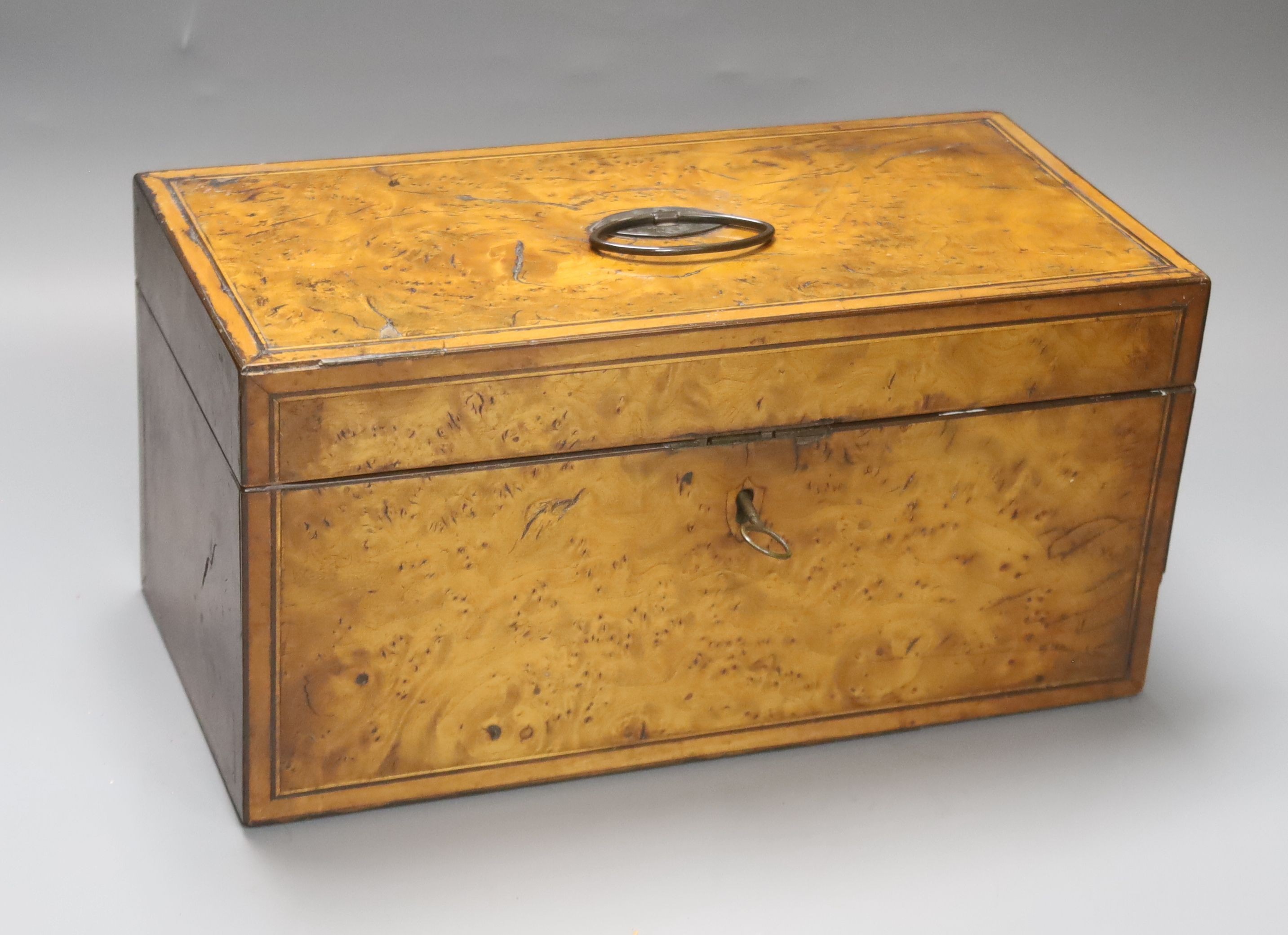 Early 19th century inlaid burr elm tea caddy31cm