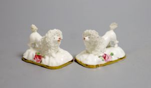 A pair of Staffordshire porcelain models of begging poodles, c.1830-50, each on a pink rose