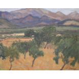 Numa Donze (1885-1952), oil on canvas, Olive trees in a landscape, signed, 44 x 55cm.