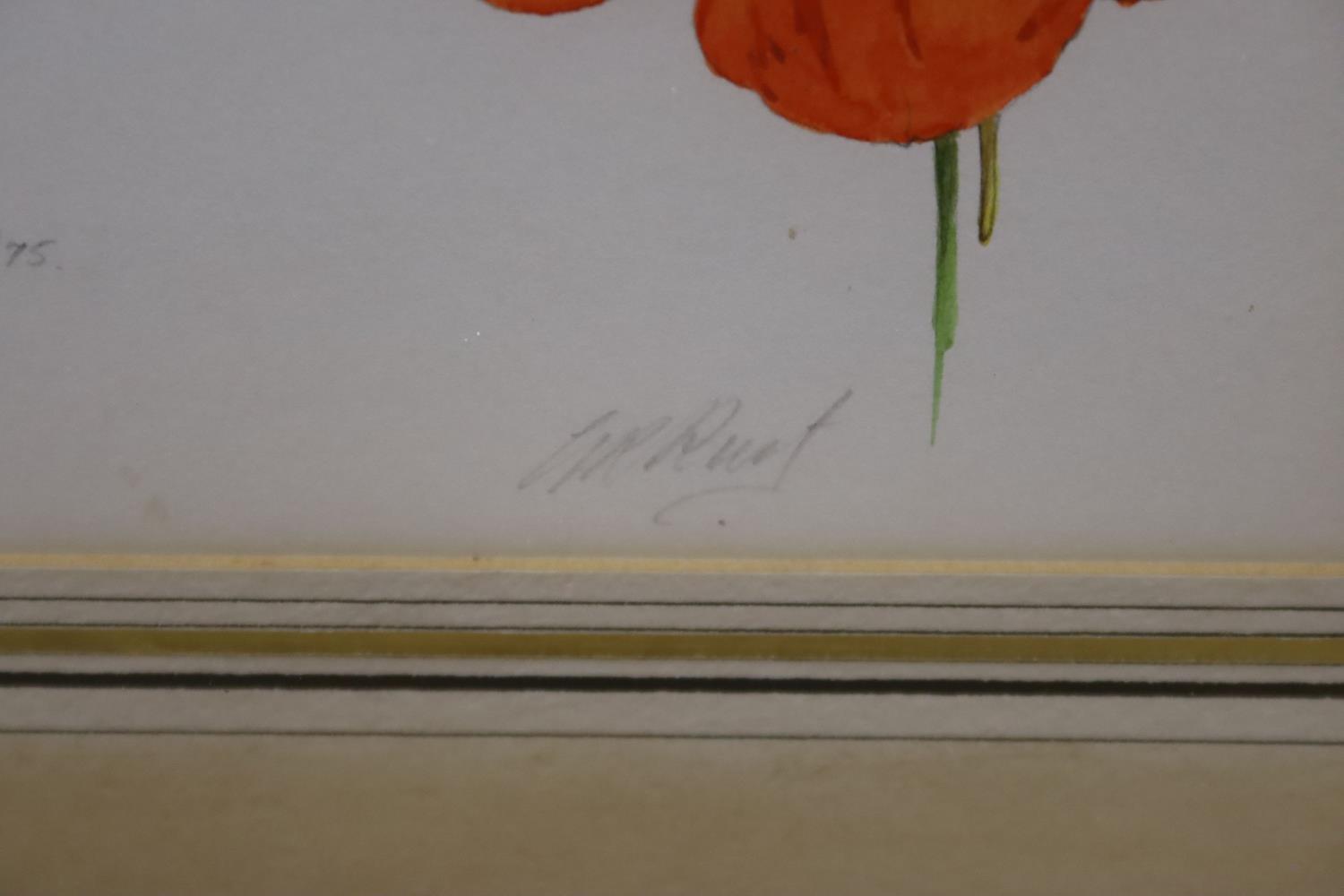 Graham Rust (1942-), pencil and watercolour, Nasturtium, Agra, 7/1/75, signed with Spink label - Image 3 of 5