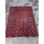 A Bokhara red ground rug, 176 x 135cm