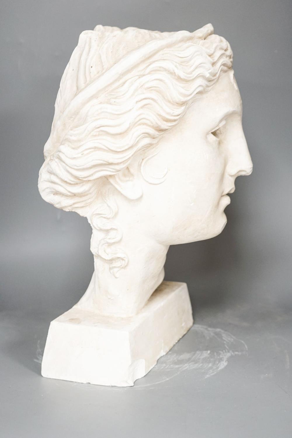 After the antique, a large plaster of Paris bust 45cm - Image 4 of 4