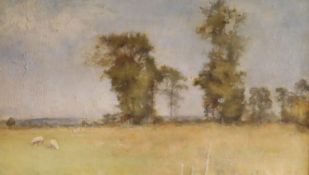 Grace E. Sainsbury (fl.1889-1893), oil on canvas, Sheep in a summer landscape, label verso, 28 x