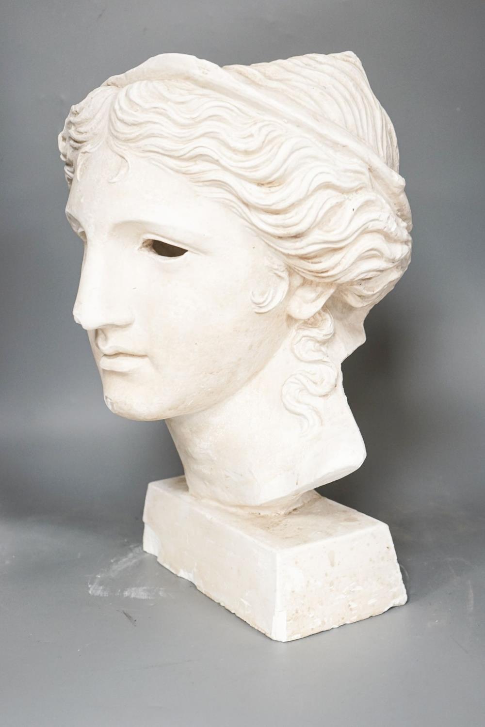 After the antique, a large plaster of Paris bust 45cm - Image 2 of 4