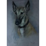 Marjorie Cox (1915-2003), pastel, Portrait of a dog, signed and dated 1992, 49 x 36cm