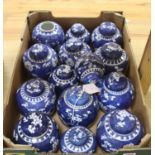 Fourteen Chinese blue and white 'prunus' jars, some with covers