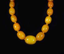 A single strand graduated oval amber bead necklace,86cm, gross 82 grams.