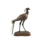 Tim Nicklin. A bronze model of a Secretary birdstanding upon naturalistic plinth, signed and dated