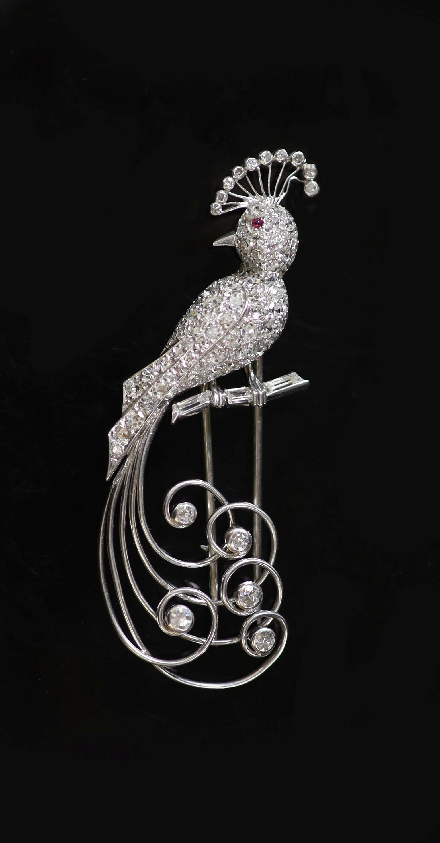 An early to mid 20th century French 18ct white gold and diamond encrusted 'bird of paradise' clip