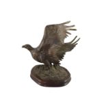 Tim Nicklin. A bronze model of an Osprey catching a salmonon naturalistic base, signed and dated