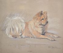 Lucy Dawson (1867-1954) Portrait of a Chow Chow Dogpastel on brown papersigned and titled Wendy23
