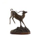 Tim Nicklin. A bronze model of a bucking impalarunning upon a naturalistic base, signed and dated