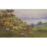 Warren Williams (1863-1941), watercolour, Sheep on a headland overlooking a river landscape, signed,