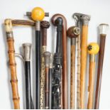 A collection of fifteen assorted walking sticks and canes, many silver mounted