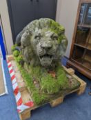 A pair of carved stone models of a recumbent lion and lioness, purchased from Crowther of Syon Lodge