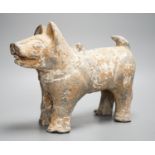 A Chinese painted grey pottery figure of a dog, probably Han dynasty, length 32cm, with 1991