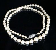 A single strand graduated cultured pearl necklace, with diamond set 14ct and plat clasp, 47cm, gross