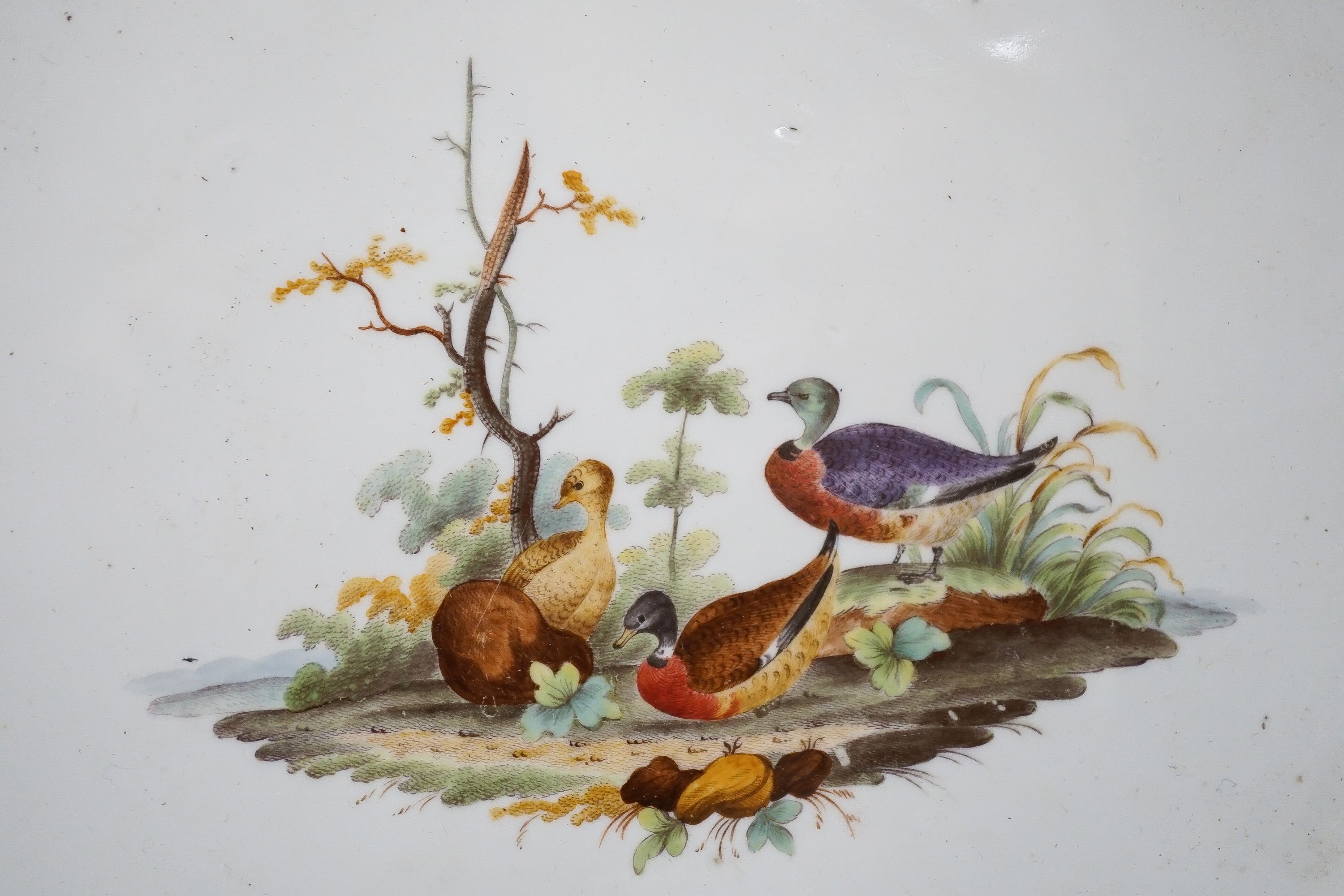 An 18th century Furstenberg bird painted porcelain dish 34cm - Image 3 of 5