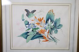 19th century English School, a set of eight watercolour and gouache botanical studies with