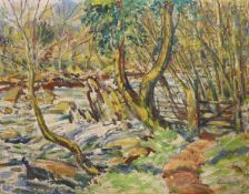 Reginald Green (fl.1911-1938), oil on board, 'The Tavy', signed, 35 x 46cm unframed