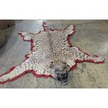 Taxidermy - a Leopard skin rug with head and stitched felt border, nose to tail 215cm