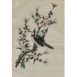 A PAIR OF CHINESE GOUACHES ON RICE PAPER depicting birds amongst blossoming branches, 19.5cm x