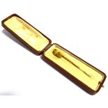 A Gold Nugget topped Stick Pin.