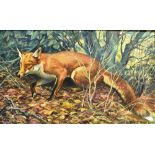 JOHN T. KENNEY A FOX IN COVERT, oil on canvas signed and dated '62 lower right. 54 X 89 cm